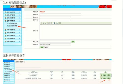 精品畢設(shè) java javaweb寵物領(lǐng)養(yǎng)平臺(tái)管理系統(tǒng)完整源碼